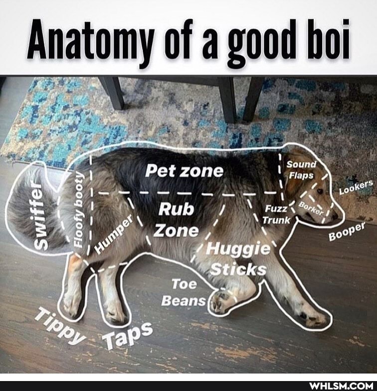 Anatomy of good
Pet zone
Rub /
_Zone
Huggie'
goo?
Sticks