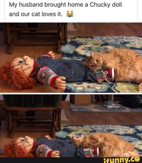 My husband bro and our cat loves