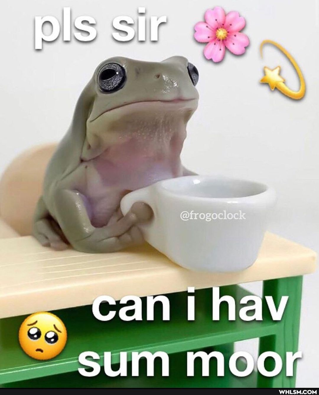 pls sir
- cani hav sum moor