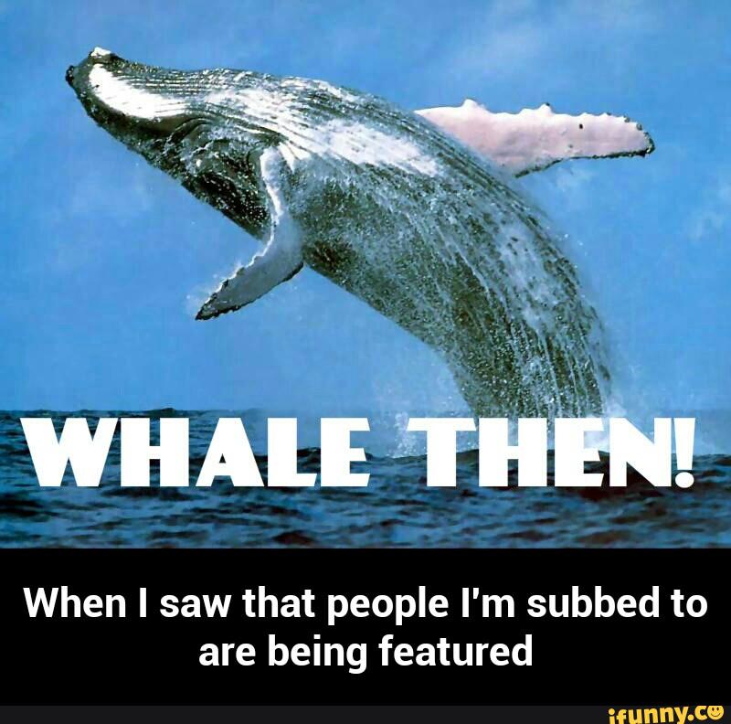 When I saw that people I'm subbed to
are being featured - When I saw that people I'm subbed to are being featured