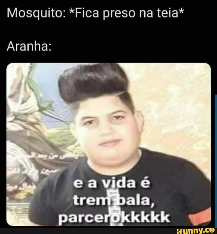 Mosquito: *Fica preso na teia*
Aranha:
ea
tre ala, parcerbkkkkk