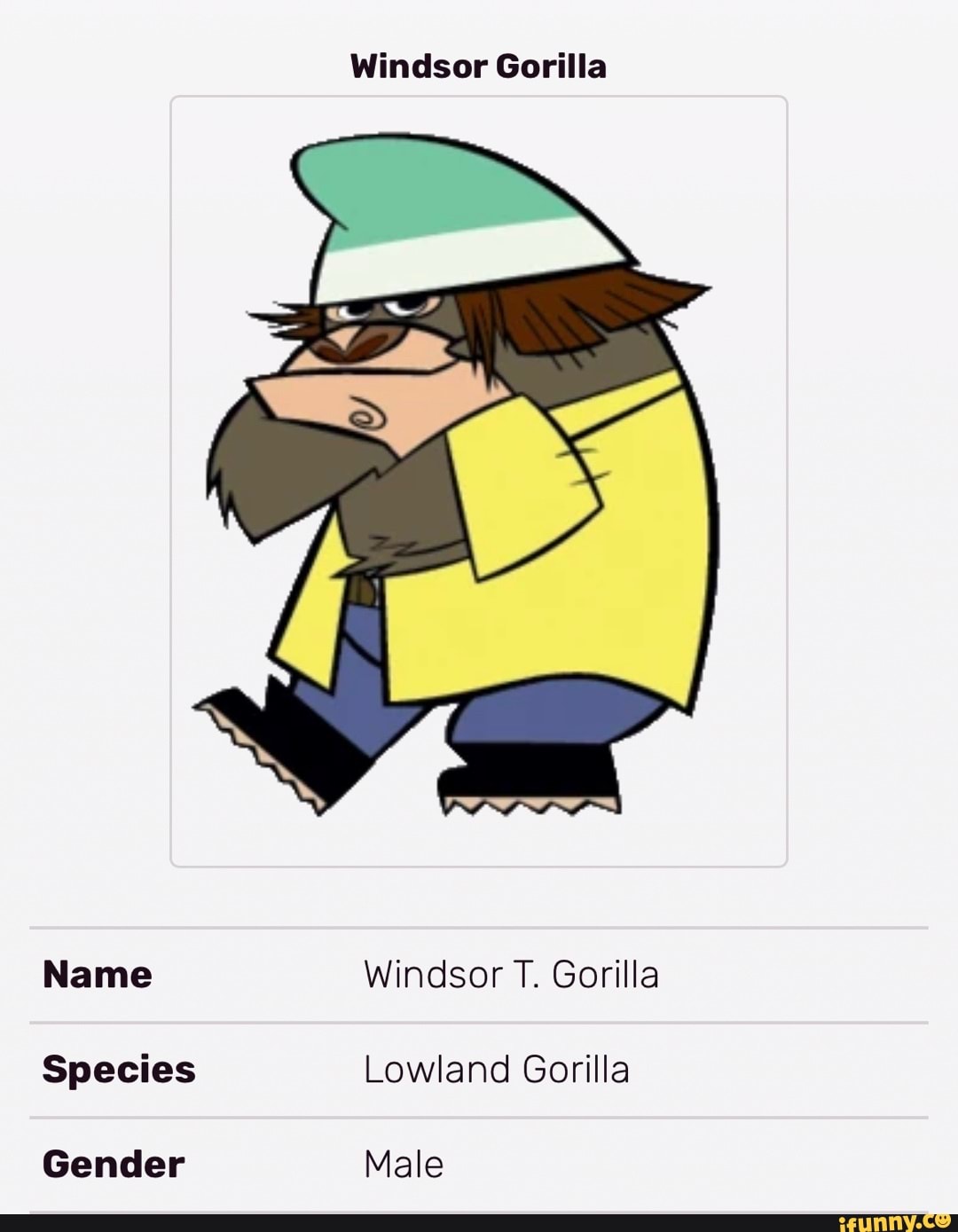 Windsor Gorilla Name Windsor T. Gorilla Species Lowland Gorilla Gender