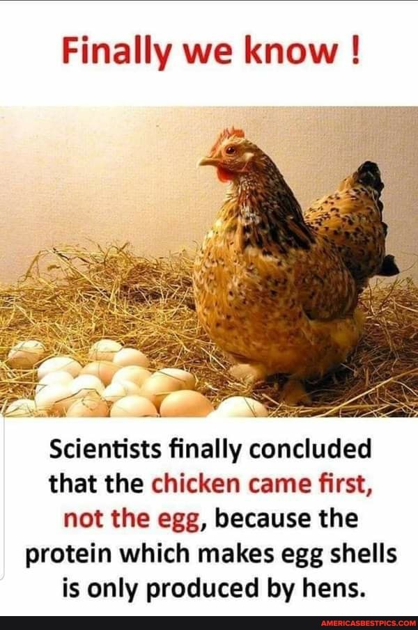 Finally we know !
Scientists finally concluded that the chicken came first,
not the egg, because the protein which makes egg shells is only produced by hens.