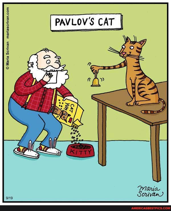 PAVLOV'S CAT I