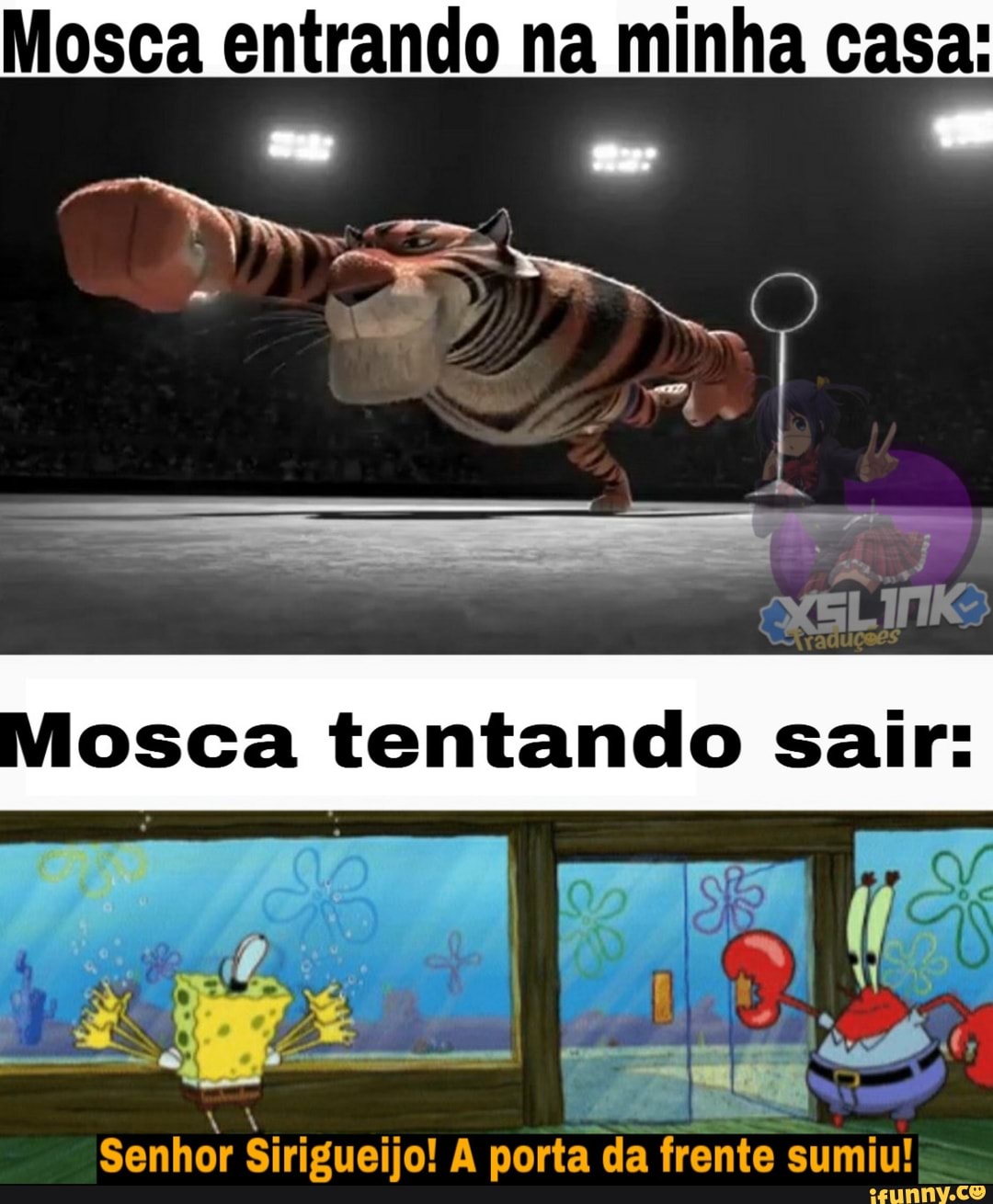 oma
Senhor Sirigueijo! A porta da frente sumiu!