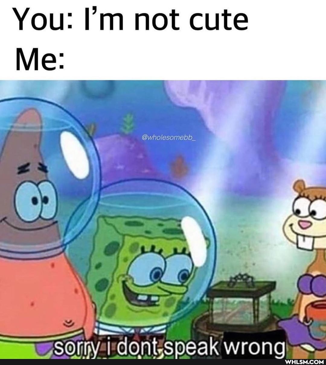 You: I'm not cute
@wholesomabb
Me:
TAN OT donticneak wronq