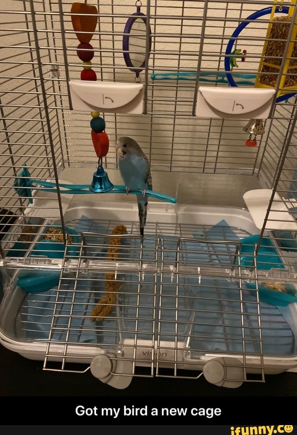 LO
Got my bird a new cage - Got my bird a new cage