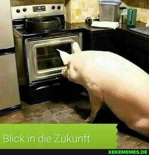 Blick in die zukunft