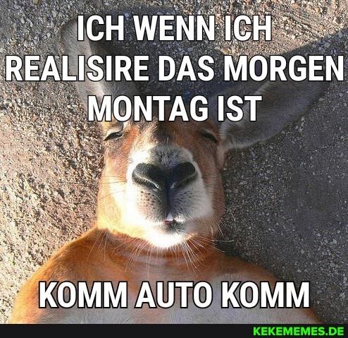 ICHWENN ICH REALISIRE DAS MORGEN MONTAG IST
KOMM AUTO KOMM