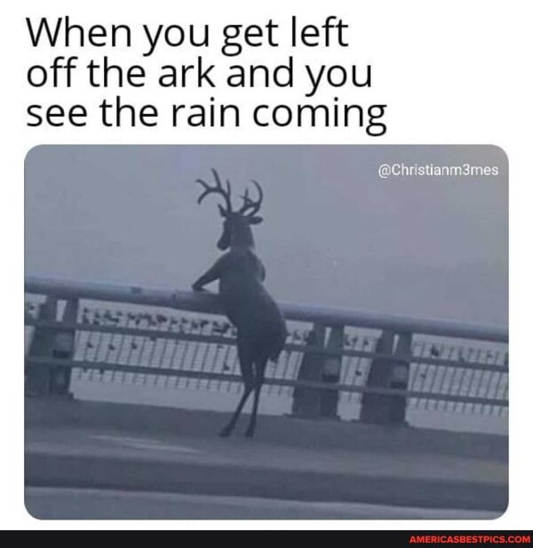 When you get left off the ark and you see the rain coming
mes