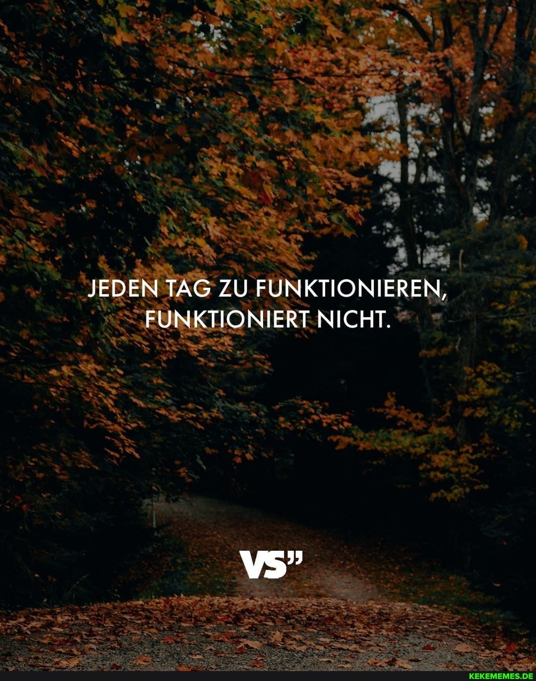 JEDEN TAG ZU FUNKTIONIEREN,
FUNKTIONIERT NICHT.