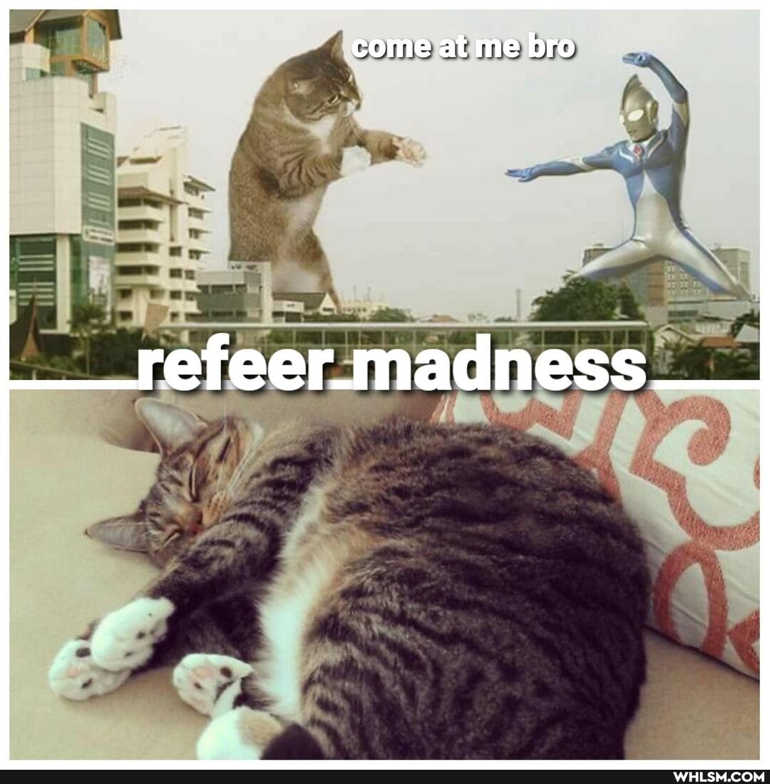 come at me bro
refeer.madness