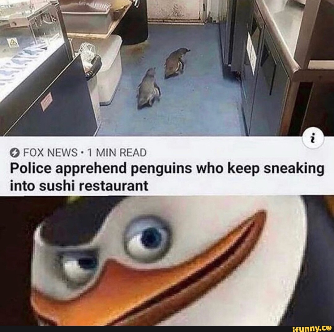 FOX NEWS 1 MIN READ Police Apprehend Penguins Who Keep Sneaking Into ...