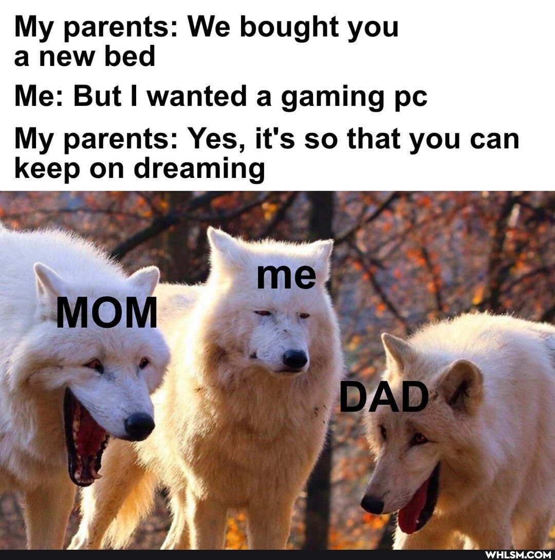 My parents: We bought you a new bed
Me: But wanted a gaming pc
My parents: Yes, it's so that you can keep on dreaming