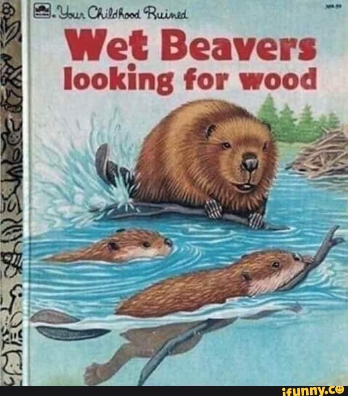 Wet B Wet Beavers Looking For Wood - IFunny