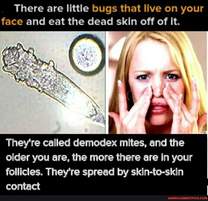 There are little bugs that live on your face and eat the dead skin off of it.
They're called demodex mites, and the older you are, the more there are in your follicles. They're spread by skin-to-skin
contact