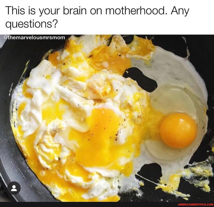 This Is Your Brain On Motherhood Any Questions Themarvelousmrsmom America S Best Pics And Videos