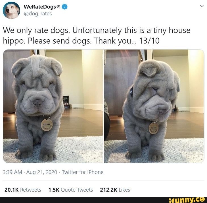 @dog
We only rate dogs. Unfortunately this is a tiny house hippo. Please send dogs. Thank you...
AM - Aug 21, 2020 - Twitter for iPhone
20.1K Quete 212.2K. Likes
