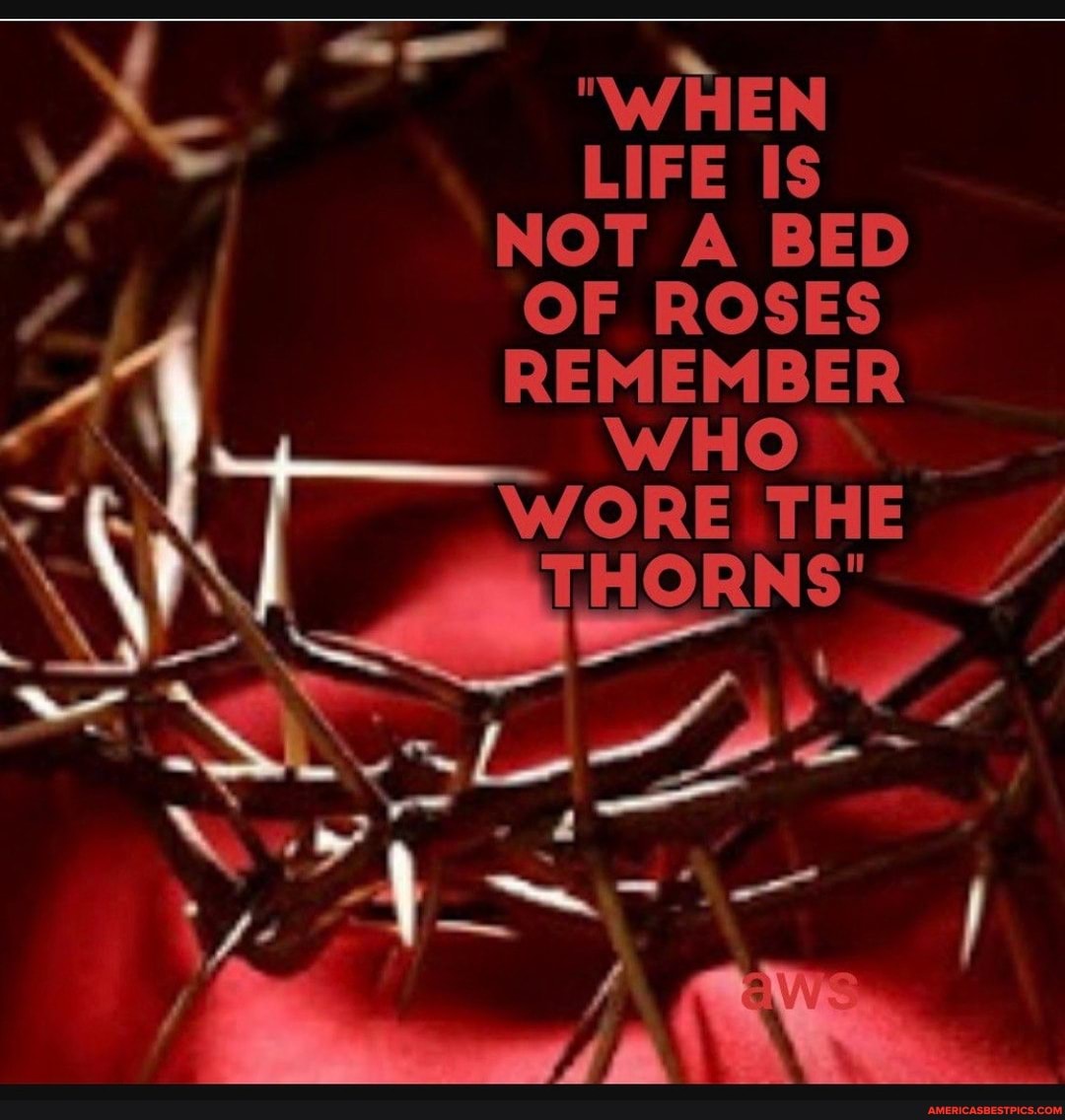 "WHEN LIFE US NOT A BED OF ROSES REMEMBER WORE THE THORNS' America’s