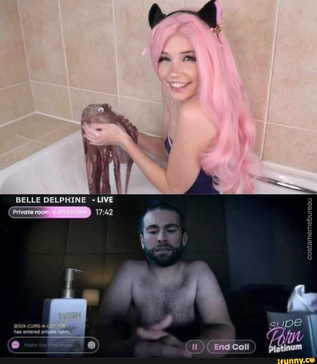 BELLE DELPHINE - LIVE Cend cat - iFunny