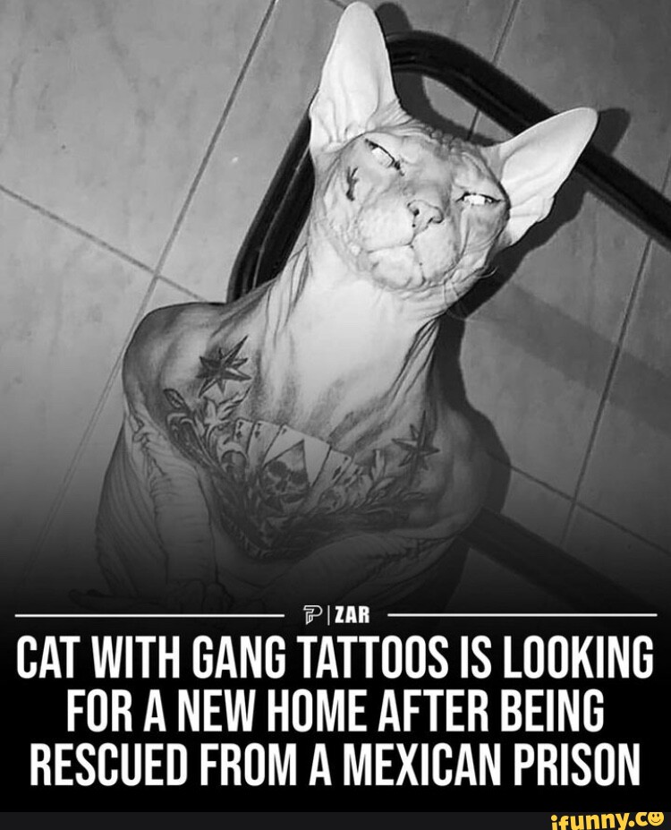 Mexican Mafia Tattoos  Examples with Photos  Design Press