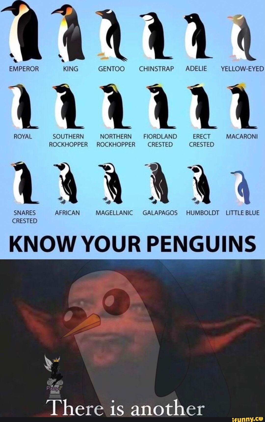 Rockhopper memes. Best Collection of funny Rockhopper pictures on iFunny