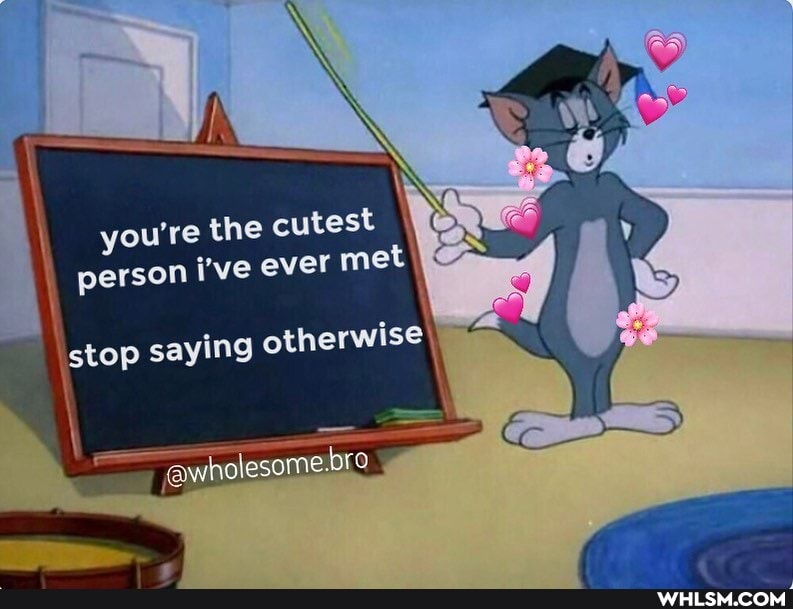 he cutest
you're met
person i've ever met
stop saying otherwise
wholesome