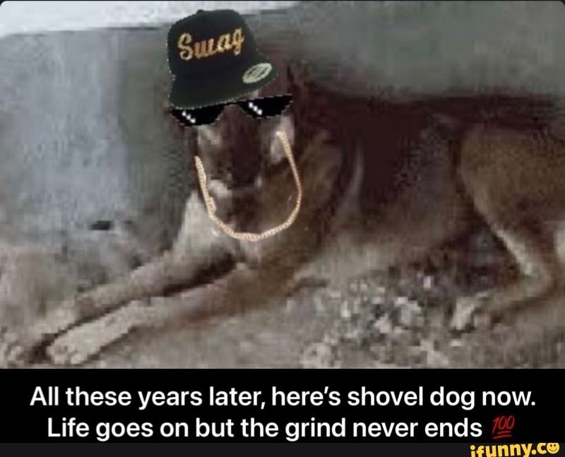 Co All these years later, here's shovel dog now. Life goes on but the