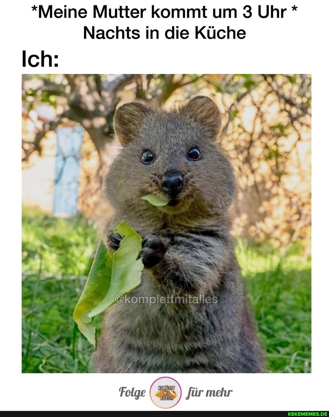 *Meine Mutter kommt um 3 Uhr *
Nachts in die Küche
Ich:
komple
