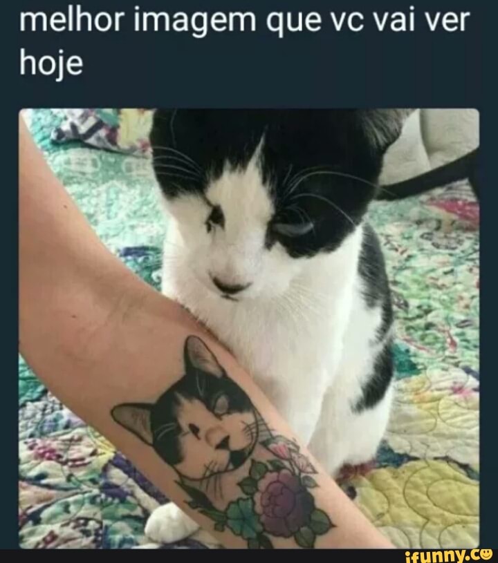 melhor imagem que vc vai ver