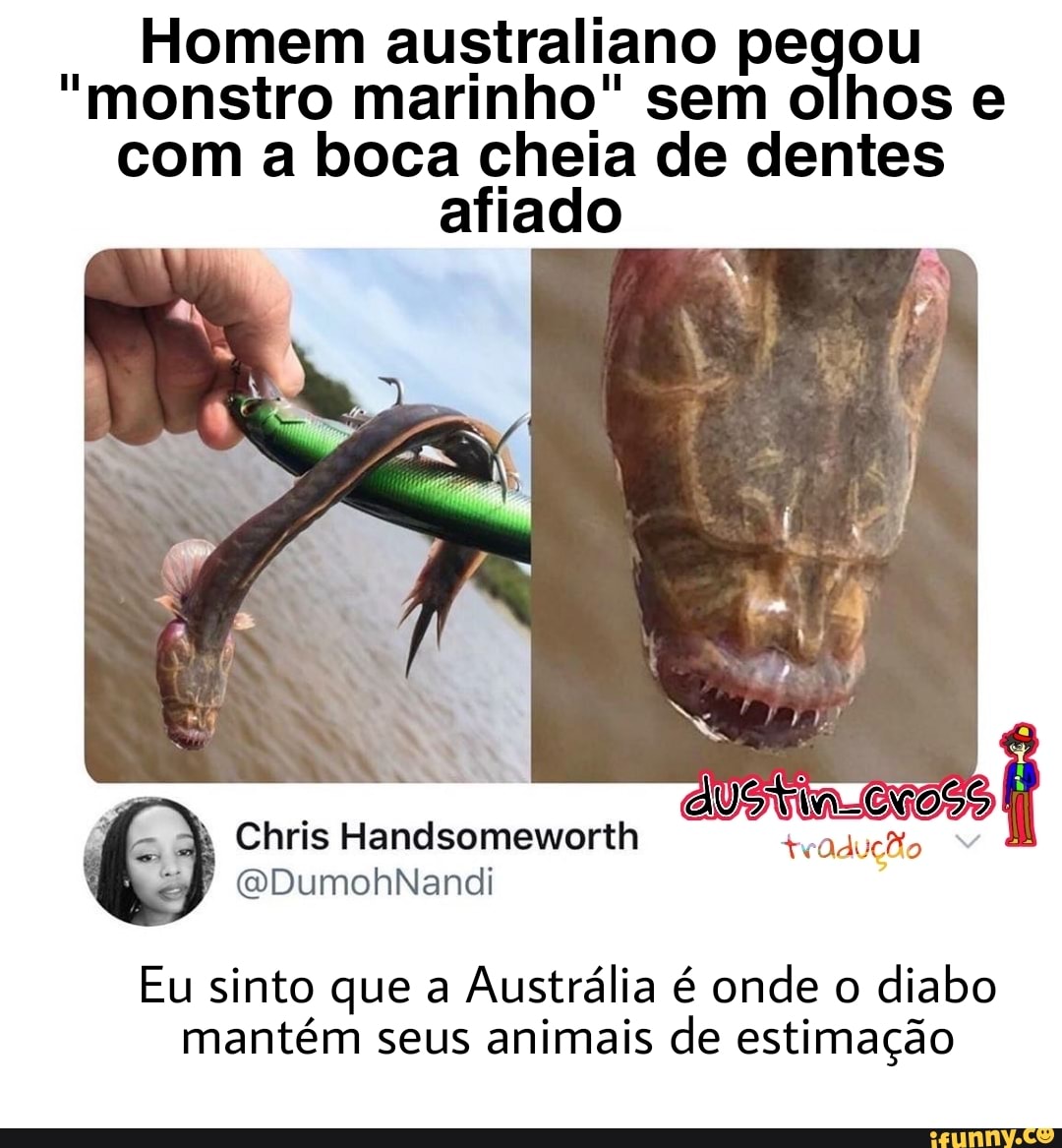 Homem australiano pegou
"monstro marinho" sem olhos e com a boca cheia de dentes afiado
Chris Handsomeworth
(QDumohNandi
Eu sinto que a Austrália é onde o diabo mantém seus animais de estimação