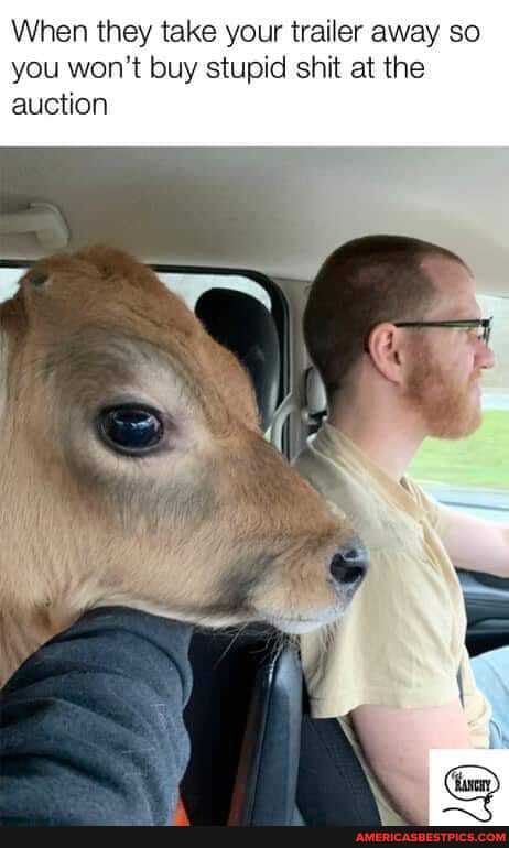 When they take your trailer away so you won't buy stupid shit at the auction