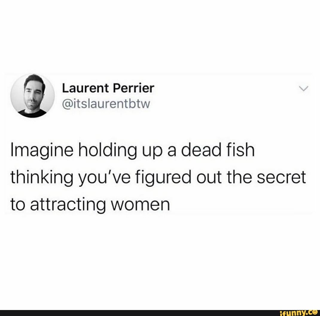 Laurent Perrier
\ @itslaurentbtw
Imagine holding up a dead fish thinking you've figured out the secret to attracting women