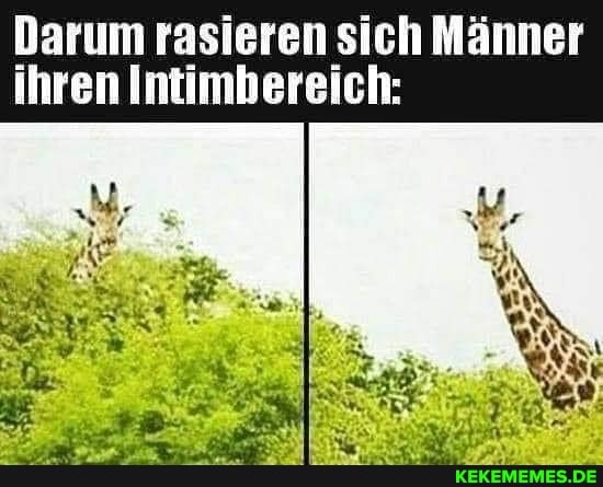 Darum rasieren sich Männer ihren Intimbereich:
