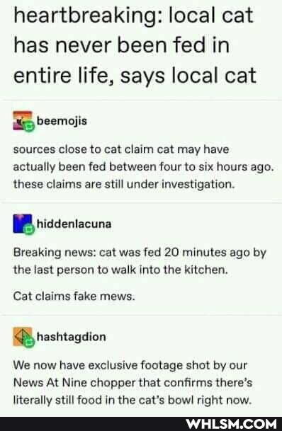 heartbreaking: local cat has never been fed in entire life, says local cat
beemoiis
sources close to cat claim cat may have actually been fed between four to six hours ago.
these claims are still under investigation.
BB ricdentacuna
Breaking news: cat was fed 20 minutes ago by the last person to walk into the kitchen.
Cat claims fake mews.
hashtagaion
We now have exclusive footage shot by our
News At Nine chopper that confirms there's
IiHterally etill fand in the cat'c how! rinht now.