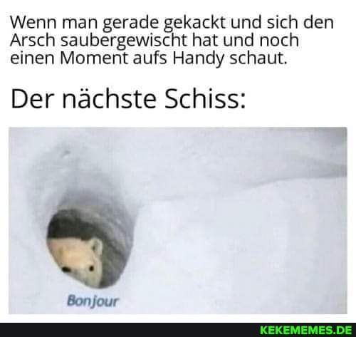 Wenn man gerade gekackt und sich den
Arsch saubergewischt hat und noch einen Moment aufs Handy schaut.
Der nächste Schiss:
Bonjour
