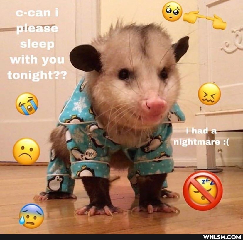 c-cani
please sleep with you tonight?? thada nightmare