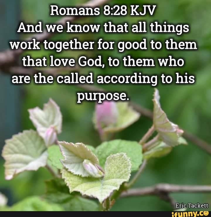 Romans KJV And we know that all things work together for good to them