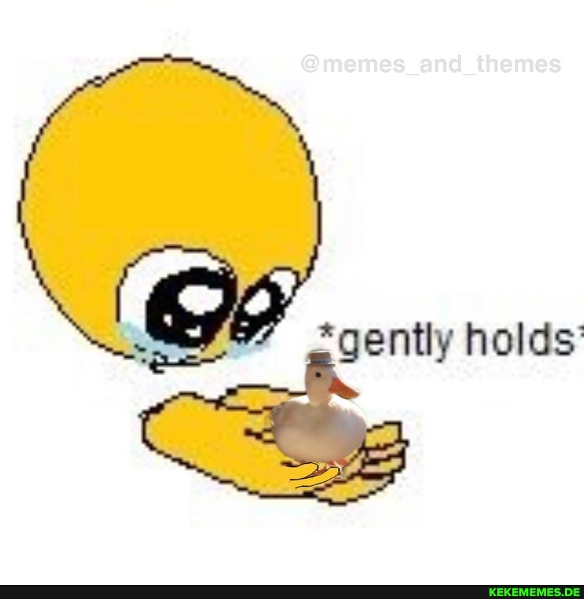 @memes and themes
*gently holds'