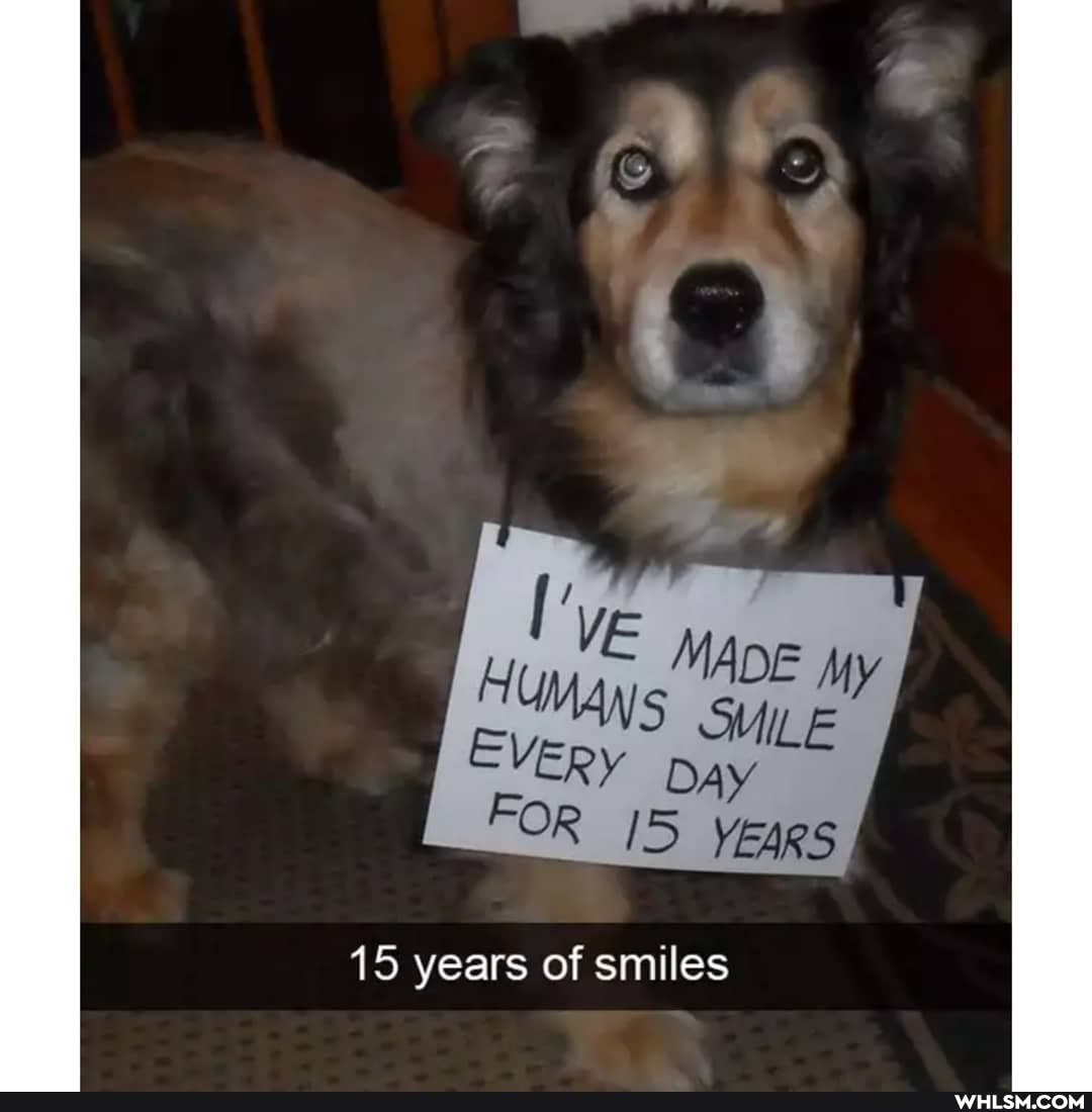 MADE EVEpy
IS
15 years of smiles