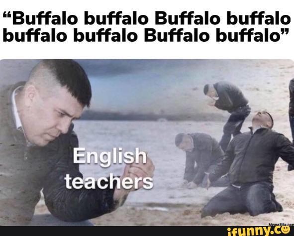 "Buffalo buffalo Buffalo buffalo buffalo buffalo Buffalo buffalo"
