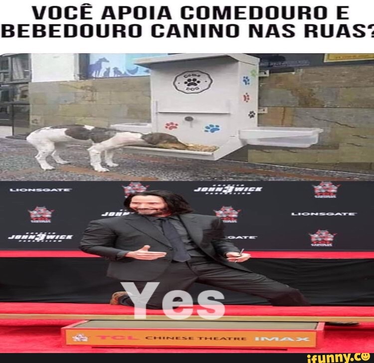 VOCÊ APOIA COMEDOURO E BEBEDOURO CANINO NAS RUAS