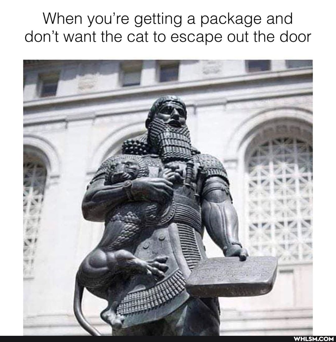 When you're getting a package and don't want the cat to escape out the door