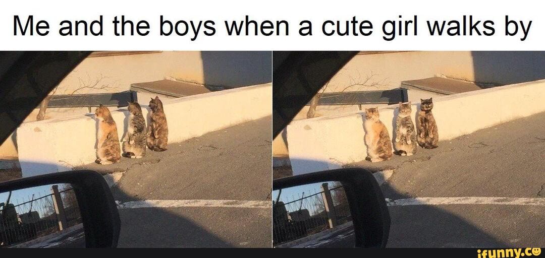 Me and the boys when a cute girl walks by iFunny