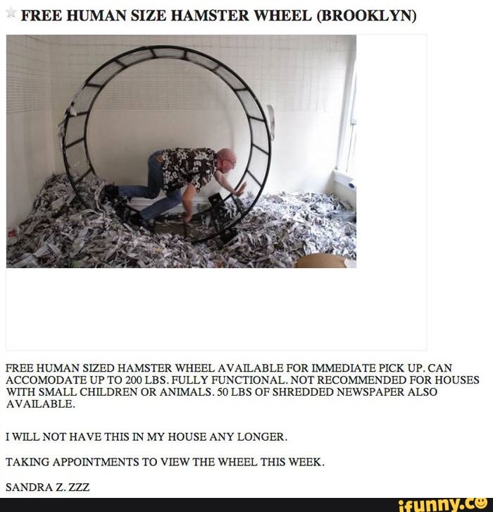 human sized hamster wheel