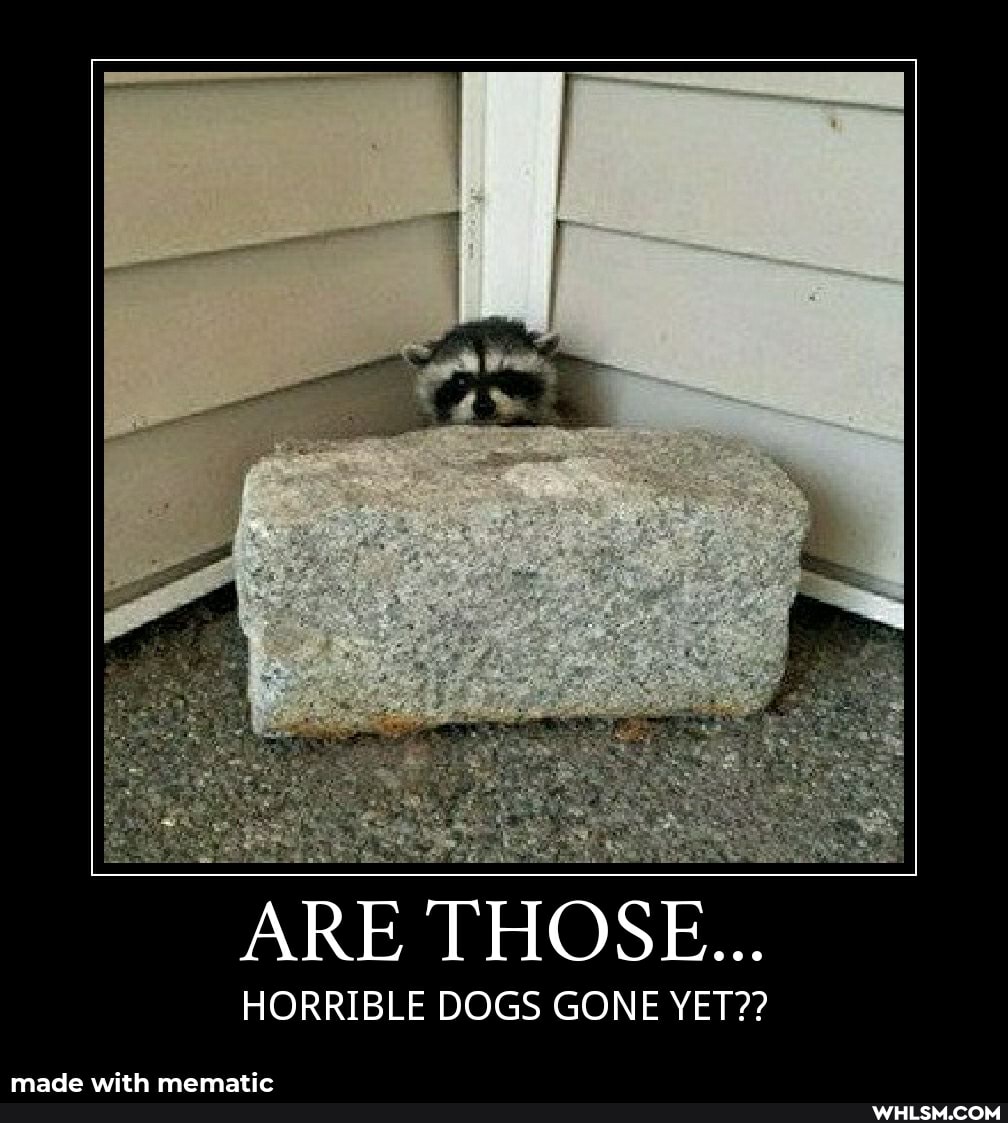 ARE THOSE...
HORRIBLE DOGS GONE YET??