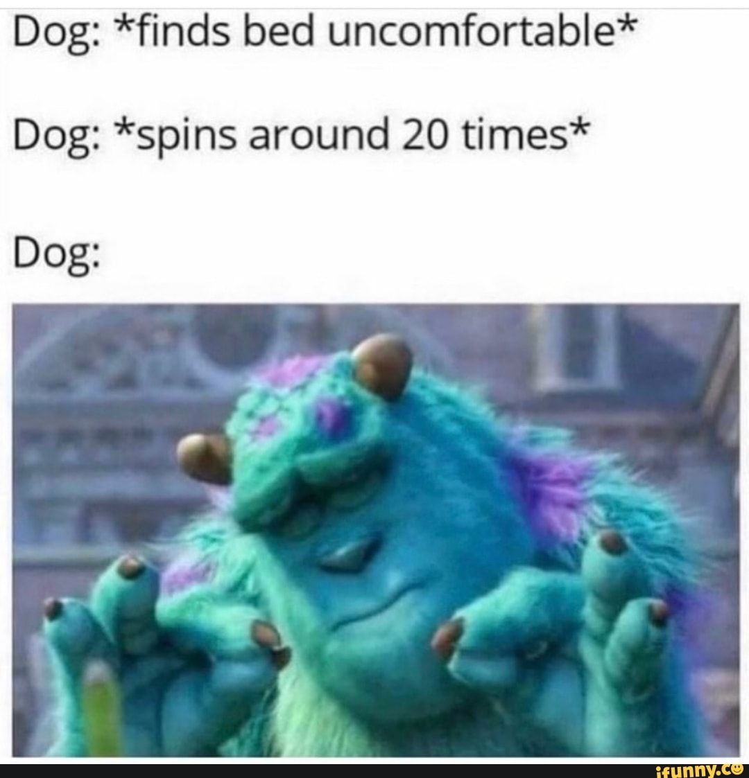 Dog: *finds bed uncomfortable*
Dog: *spins around 20 times*
Dog: