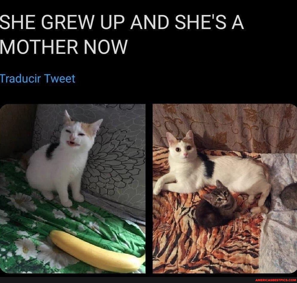 SHE GREW UP AND SHE'S A MOTHER NOW
Traducir Tweet