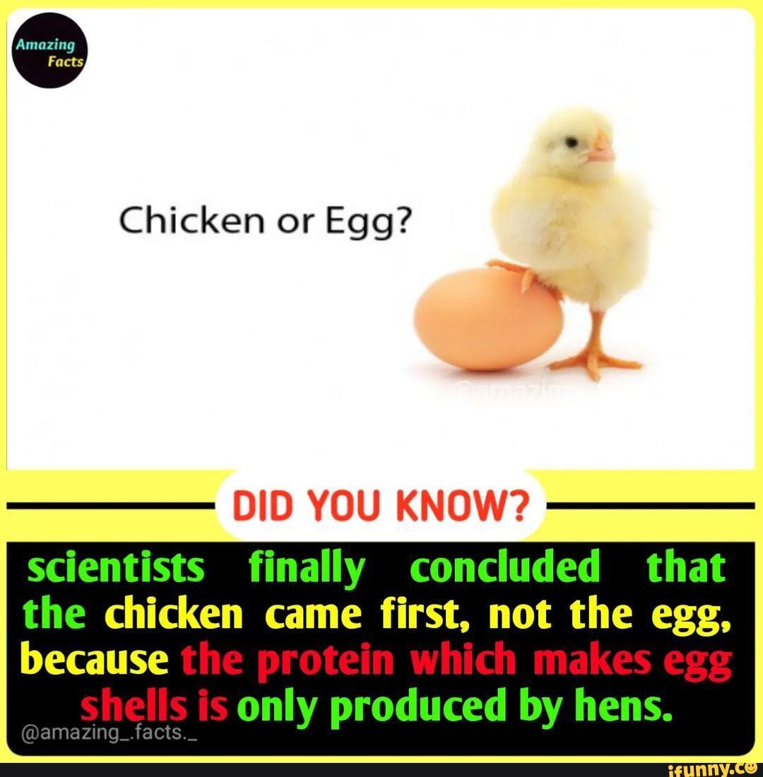 Amazing Facts, Chicken or Egg? DID YOU KNOW? scientists finally