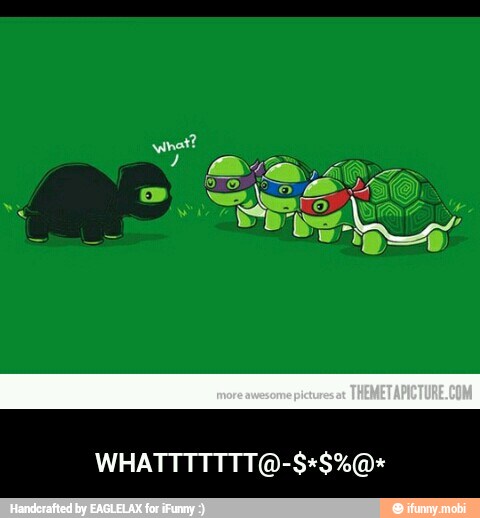 WHATTTTTTT@-$*$%@*